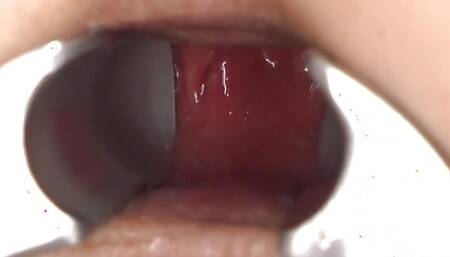 Exploring the Mysteries of the Beaver, Profound Passion for Anal, and Intimate Spousal Adventures