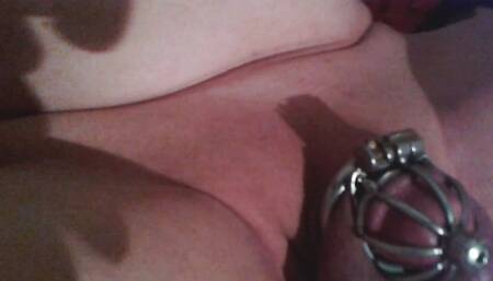 Cut penis cage
