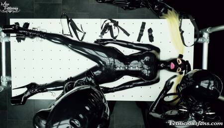 Learning about humanoids