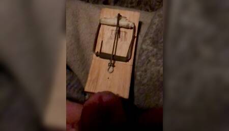 Mousetrap Meets Cock.