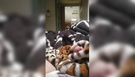 Jerking off in my gfs fluffy onesie with her fur coat