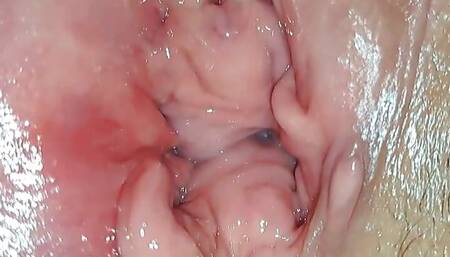 Amateur Wife Gets Black Bred While Husband Watches