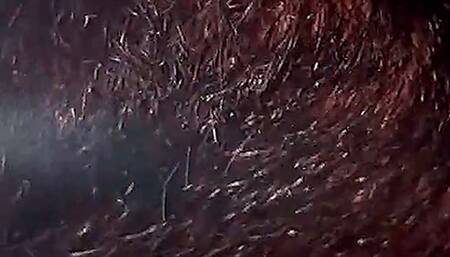 Angry muscle gay daddy teaches his black gay neigbours a lesson