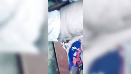 Jamshedpur boy showing his penis
