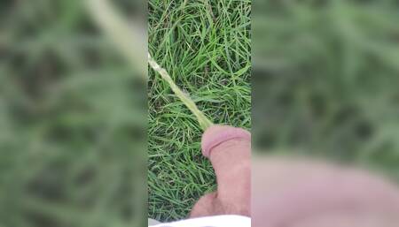 Piss in public