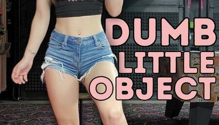 Dumb little Object