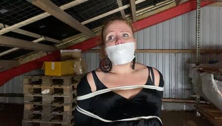 May - Bound And Gagged In The Attic For The Night MP4