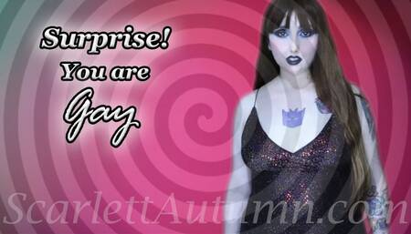 Surprise! You are gay - WMV HD 1080p