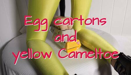 Egg cartons and yellow Cameltoe - Eierkartons und gelbe Cameltoe
