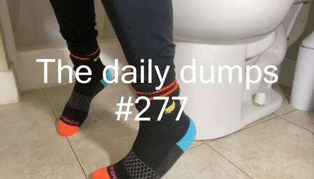 The daily dumps #277 mp4
