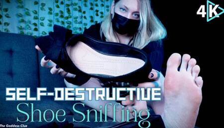 Self-Destructive Shoe Sniffing - 4K