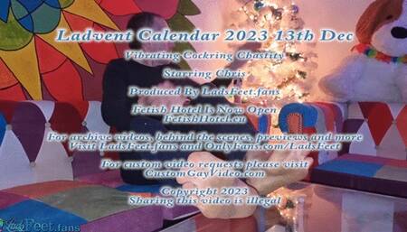 Ladvent Calendar 23 - 13th Dec - Vibrating Cockring Chastity