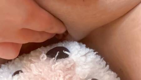 Cute pussy humps a stuffy and squirts