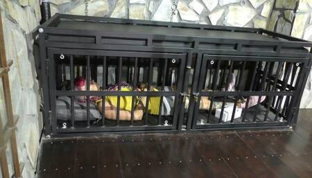 The Maya 72h Challenge - Maya Homerton - The ultimate Bondage Session - Clip 4 - Waiting - Full Clip mp4 SD