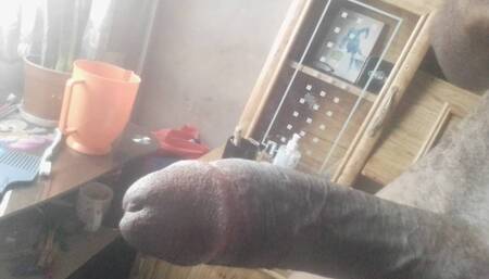 Horny at home