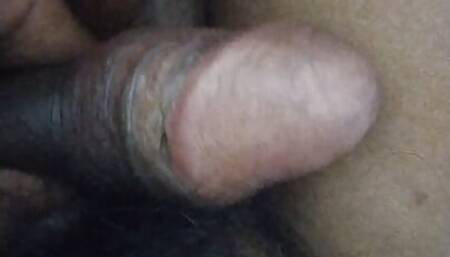 Chota land