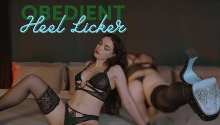 Obedient Heel Licker