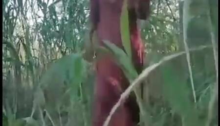 Desi indoor outdoor compilation with song