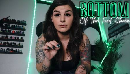 Bottom Of The Food Chain- HD