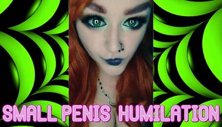 Small Penis Humiliation Includes Verbal Insults