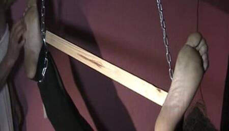 Mel Gresopio in Bastinado Gresopio Feet