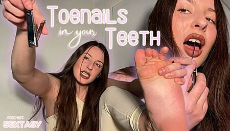 Toenails in Your Teeth