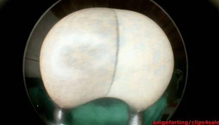 Farts arrangement with neighbor wmv