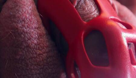 I turn my husband's cock into a clit