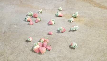 Black shoes vs Strawberries