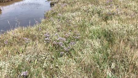 Fuck-ups and Behind the Scenes (wam Outtakes) Part 2