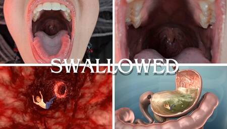 Swallowed Whole and Digested - Giantess Countess Wednesday Vores You - Swallowing, Inside Stomach Special Effects, Mouth Closeups, Descriptive Vore, and Digestion - MP4 1080p