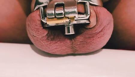 Sissy cuming and peeing in a negativ chastity