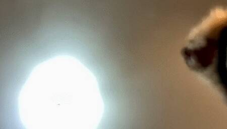 GiantessVore Unaware: Shorts and Converse