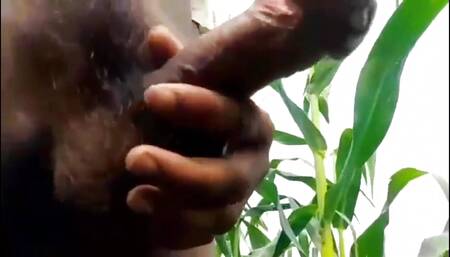 Nepali video