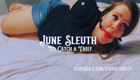 June Sleuth #2: To Catch a Thief