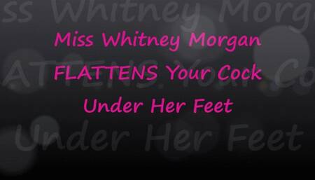 Whitney Morgan Flattens Your Cock Under Her Feet - mp4