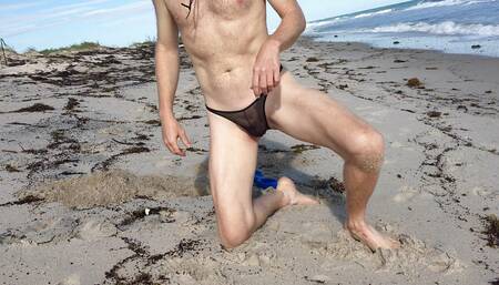 Black Sheer at beach