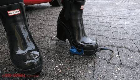 Mila - Sandy s last day