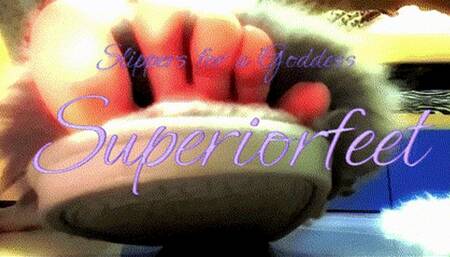 Slippers for a Goddess