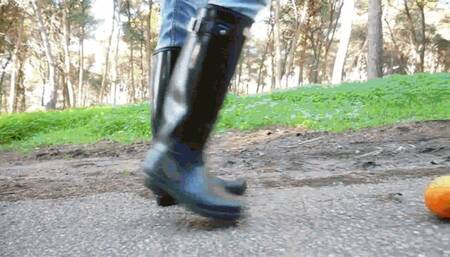 Have a nice walk MP4 (1920x1080) FHD