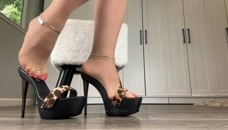 Small Penis JOI Countdown Mules & Pantyhose