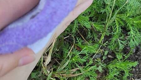 Sweaty, Smelly Socks and Shoes Kicked Off!!