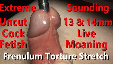 Extreme 13mm & 14mm Sounding Close-up Fetish Frenulum Torture Live moaning