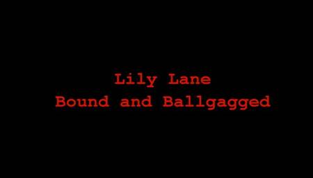Lily Lane Bound and Ballgagged