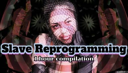 SLAVE REPROGRAMMING COMPILATION