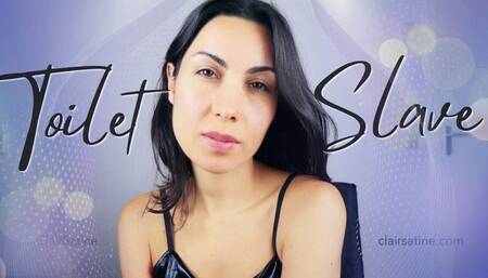 A toilet slave