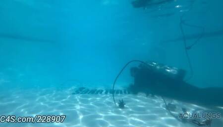 Bella Luxx Is Bound To The Bottom