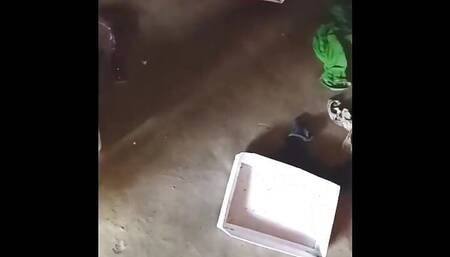 cock in the wrong hole