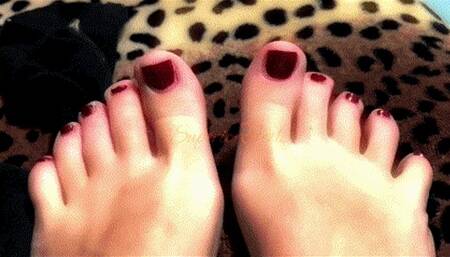 Veneration of My Socks (second day)