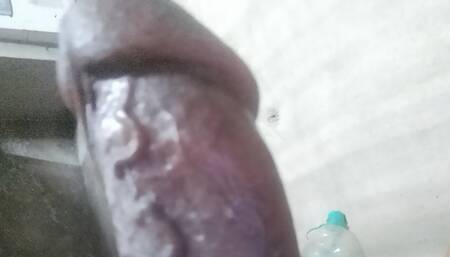 Labia pass